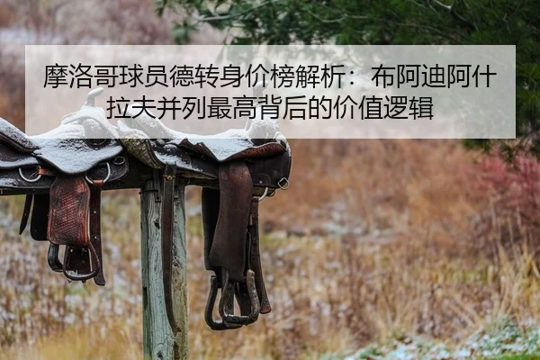 摩洛哥球员德转身价榜解析：布阿迪阿什拉夫并列最高背后的价值逻辑
